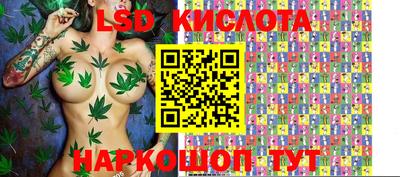 прущие грибы Малгобек