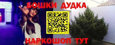 прущие грибы Малгобек